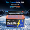 【🎃Halloween Treat】12V 100Ah 1200CCA Bluetooth LiFePO4 Battery with Self Heating | 200A BMS | 2560Wh