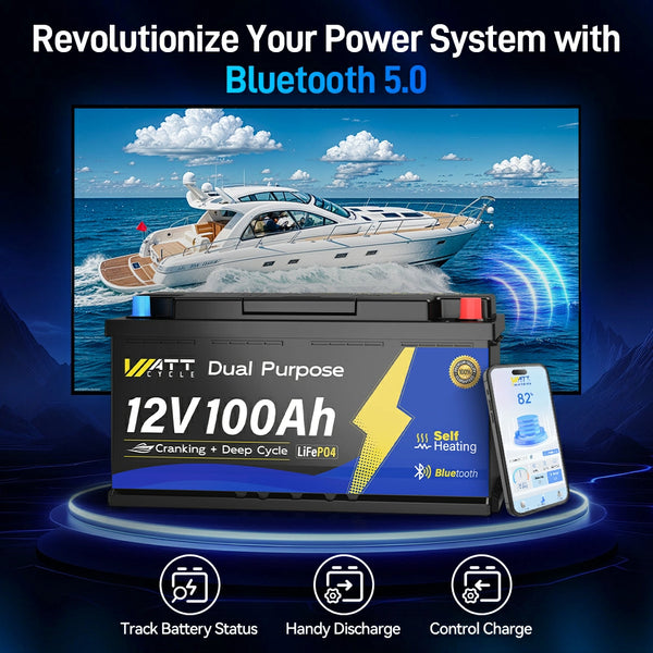 Batterie LiFePO4 12 V 100 Ah 1200 CCA avec Bluetooth et auto-chauffage | BMS 200 A | 2560 Wh