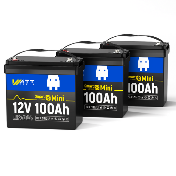 【🎃72H Flash Sale】12V 100Ah Mini Bluetooth LiFePO4 Battery | 100A BMS | 1280Wh