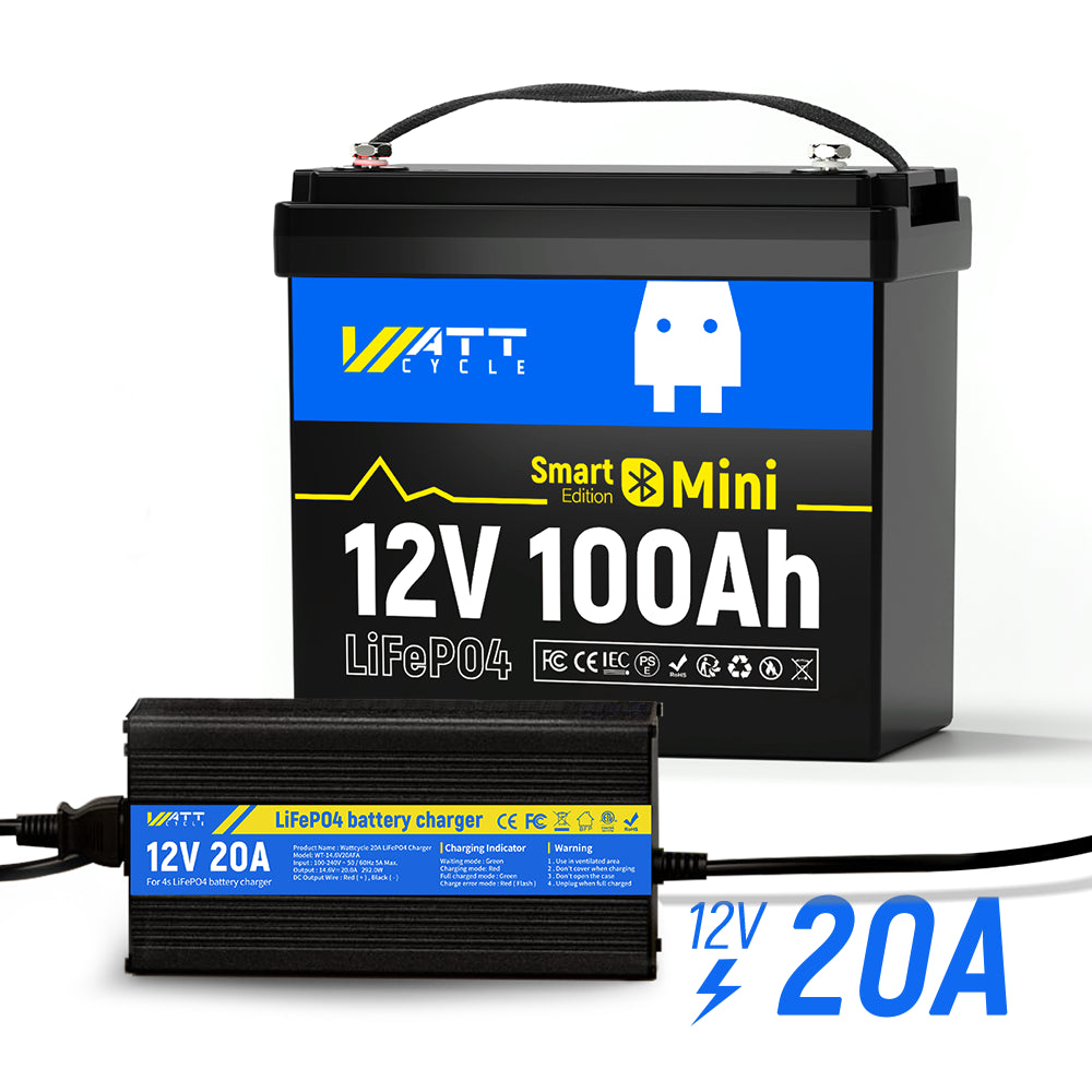 12V 100Ah Mini LiFePO4 Battery with Bluetooth KIt