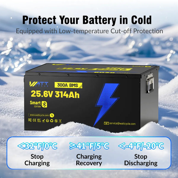 【Automatic C$120 OFF】24V 314Ah Bluetooth LiFePO4 Battery | 300A BMS | 8038Wh
