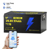 【Automatic C$120 OFF】24V 314Ah Bluetooth LiFePO4 Battery | 300A BMS | 8038Wh