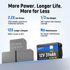 12V 314Ah Mini LiFePO4 Battery | 200A BMS | 4019Wh