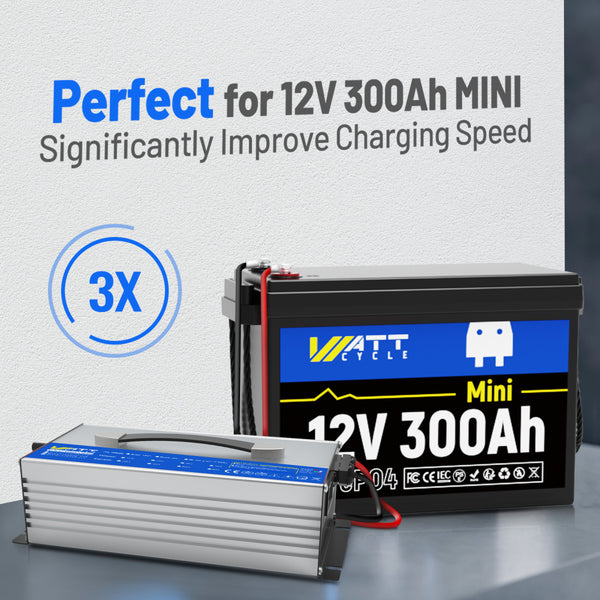 14.6V 60A Aluminum Shell LiFePO4 Battery Charger | Perfect for 12V 314Ah