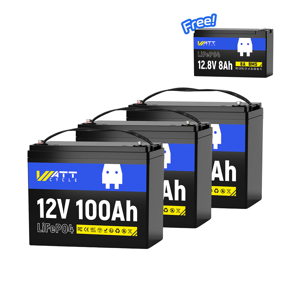 【Free 12V 8Ah】36V 100Ah Group 24 LiFePO4 Battery