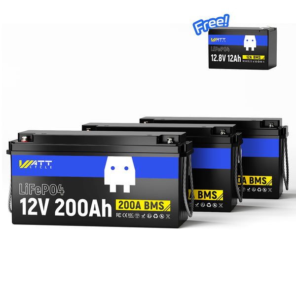 【Free 12V 12Ah】36V 200Ah LiFePO4 Battery | 7680Wh+153Wh