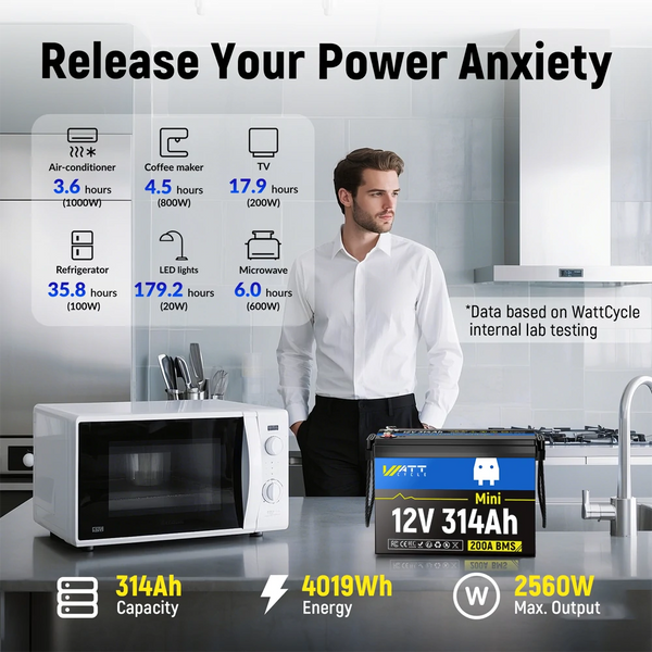 【7 Days Pre Sale】12V 314Ah Mini LiFePO4 Battery | 200A BMS | 4019Wh