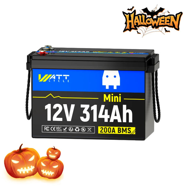 【7 Days Pre Sale】12V 314Ah Mini LiFePO4 Battery | 200A BMS | 4019Wh
