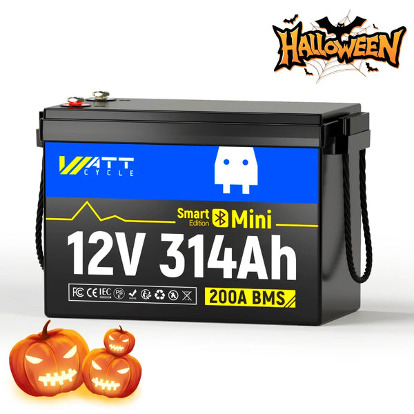 【🎃Halloween Treat】12V 314Ah MINI Bluetooth LiFePO4 Battery | 200A BMS | 4019Wh