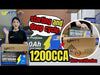【🎃Halloween Treat】12V 100Ah 1200CCA Bluetooth LiFePO4 Battery with Self Heating | 200A BMS | 2560Wh