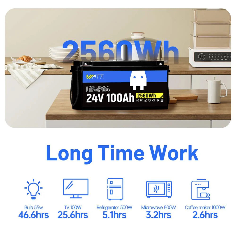 Batterie LiFePO4 24 V 100 Ah | BMS 100 A | 2560 Wh