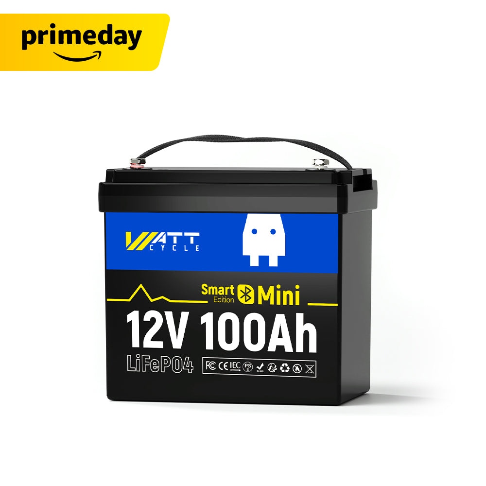 【⏰Prime Day】12V 100Ah Mini LiFePO4 Battery with Bluetooth