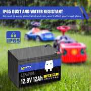 12V 12Ah LiFePO4 Battery