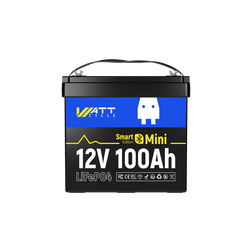 ⚡️Back in Sept.⚡️ 12V 100Ah Mini Bluetooth LiFePO4 Battery | 100A BMS | 1280Wh | Low-temp Protection