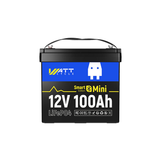 12V 100Ah Mini Bluetooth LiFePO4 Battery | 100A BMS | 1280Wh | Low-temp Protection