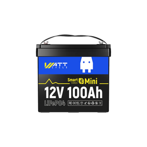 12V 100Ah Mini Bluetooth LiFePO4 Battery | 100A BMS | 1280Wh | Low-temp Protection