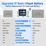 12V 100Ah Mini Bluetooth LiFePO4 Battery | 100A BMS | 1280Wh | Low-temp Protection