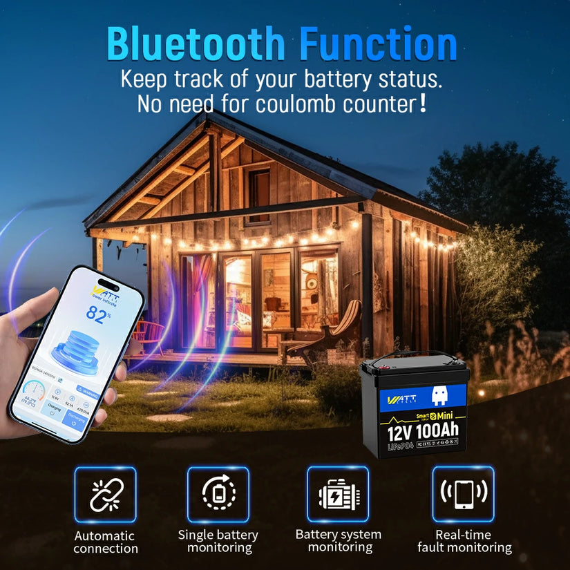12V 100Ah Mini Bluetooth LiFePO4 Battery | 100A BMS | 1280Wh | Low-temp Protection