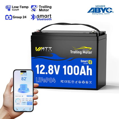 【👑3rd Anniversary】12V 100Ah Battery with Bluetooth for Trolling Motors