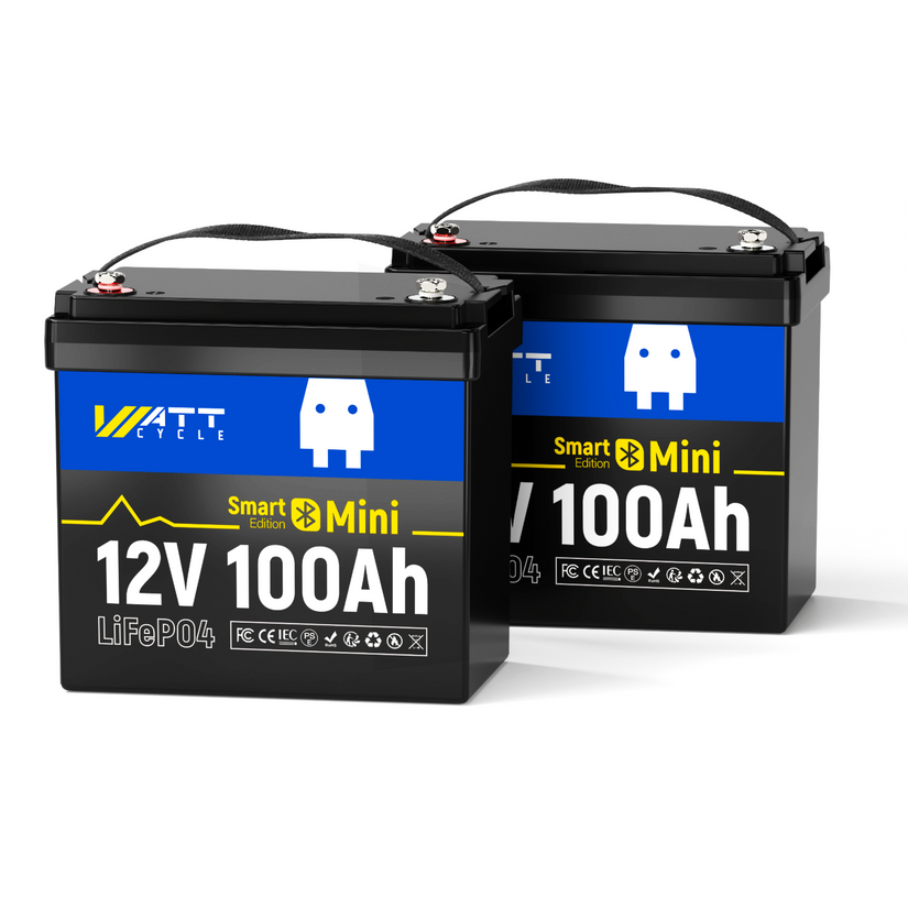 12V 100Ah Mini Bluetooth LiFePO4 Battery | 100A BMS | 1280Wh | Low-temp Protection