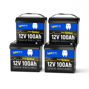 12V 100Ah Mini Bluetooth LiFePO4 Battery | 100A BMS | 1280Wh | Low-temp Protection