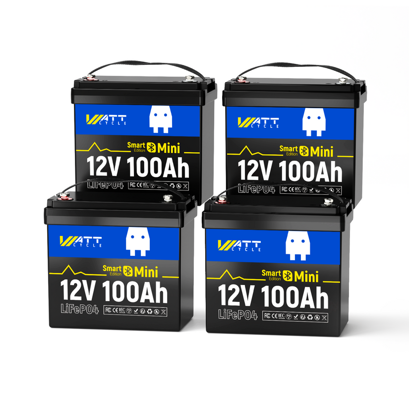 12V 100Ah Mini Bluetooth LiFePO4 Battery | 100A BMS | 1280Wh | Low-temp Protection