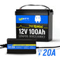 12V 100Ah Mini LiFePO4 Battery with Bluetooth KIt