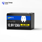 12V 12Ah LiFePO4 Battery