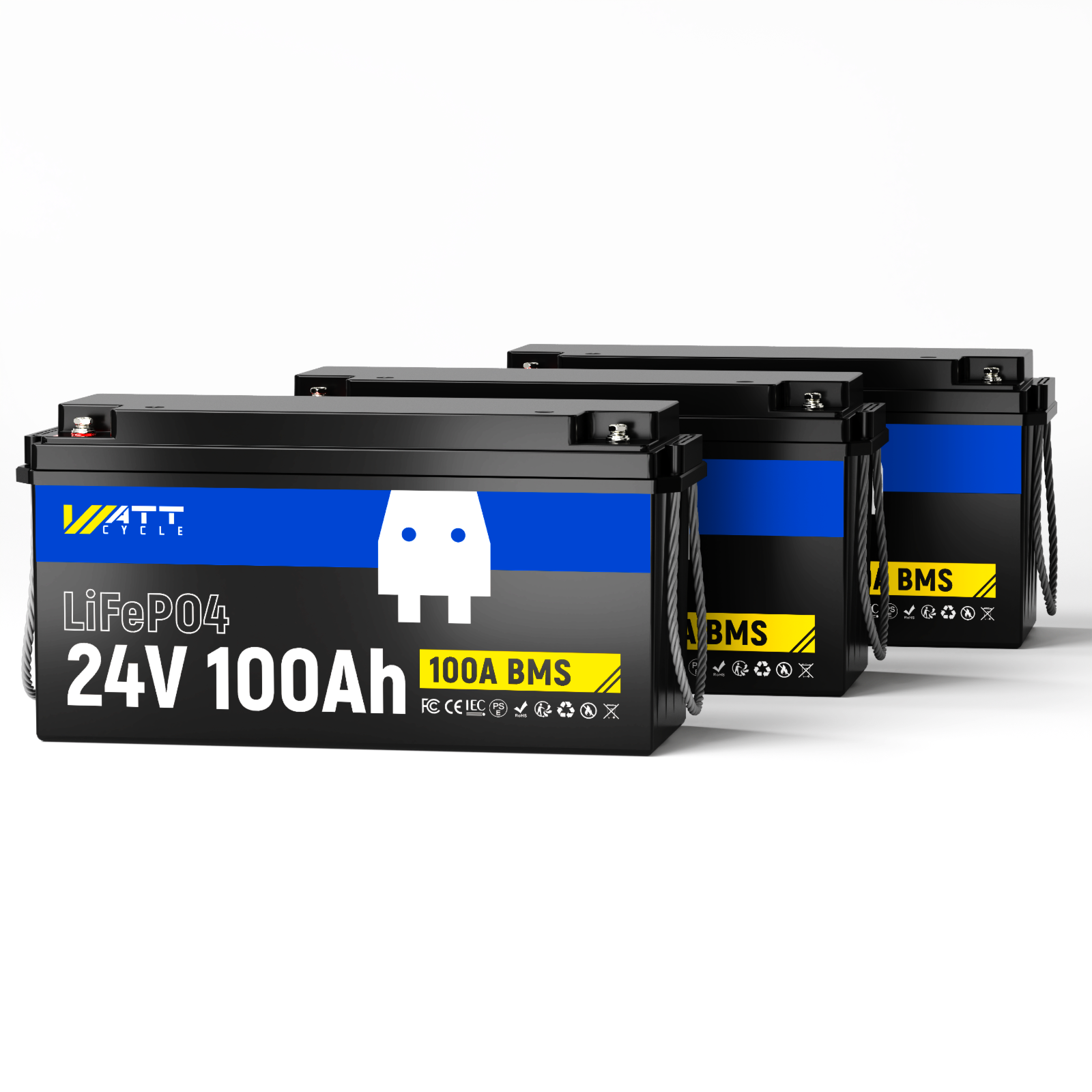 Batterie LiFePO4 24 V 100 Ah | BMS 100 A | 2560 Wh