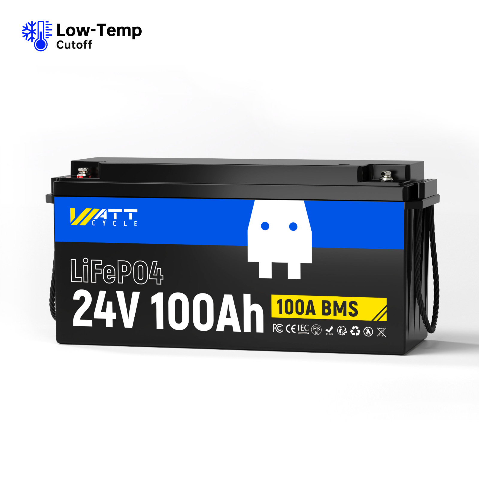 Batterie LiFePO4 24 V 100 Ah | BMS 100 A | 2560 Wh