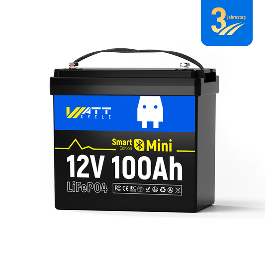 【👑3rd Anniversary】12V 100Ah Mini LiFePO4 Battery with Bluetooth
