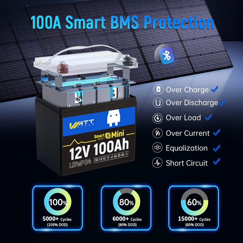 12V 100Ah Mini Bluetooth LiFePO4 Battery | 100A BMS | 1280Wh | Low-temp Protection