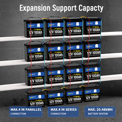 【Pre Sale】12V 100Ah Mini LiFePO4 Battery with Bluetooth