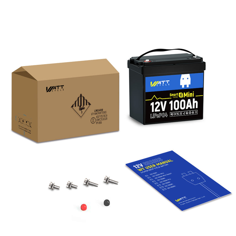 12V 100Ah Mini Bluetooth LiFePO4 Battery | 100A BMS | 1280Wh | Low-temp Protection