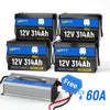 [🎄Christmas Deal] 12V 314Ah Mini LiFePO4 Battery | 200A BMS | 4019Wh