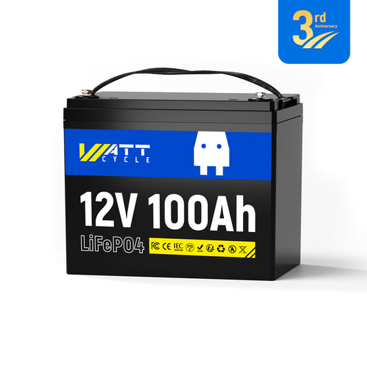 【👑3rd Anniversary】12V 100Ah Group 24 LiFePO4 Battery