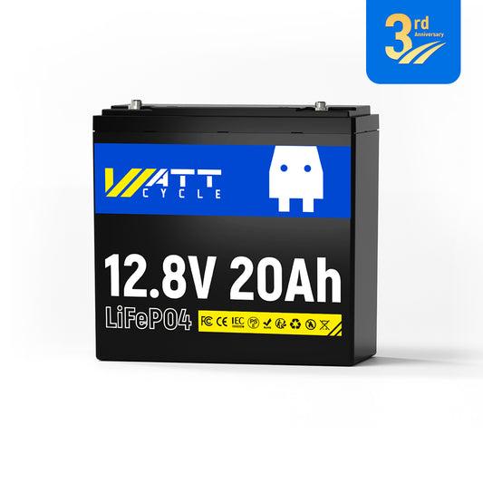 【👑3rd Anniversary】12V 20Ah LiFePO4 Battery