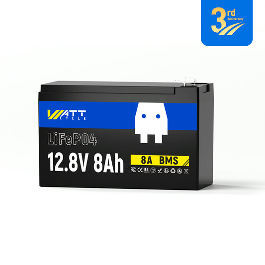 【👑3rd Anniversary】12V 8Ah LiFePO4 Battery