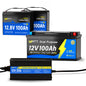 12V/24V/36V 100Ah Trolling Motor Battery Kit