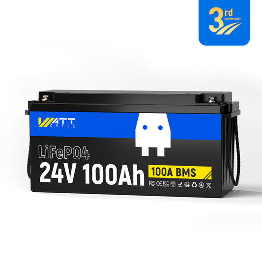 【👑3rd Anniversary】24V 100Ah LiFePO4 Battery