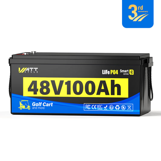 【👑3rd Anniversary】48V 100Ah Golf Cart Battery with Bluetooth