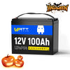 【🎃48H Flash Sale】12V 100Ah LiFePO4 Battery | Group 24 Size | 100A BMS | 1280Wh