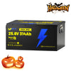 【Automatic C$120 OFF】24V 314Ah Bluetooth LiFePO4 Battery | 300A BMS | 8038Wh