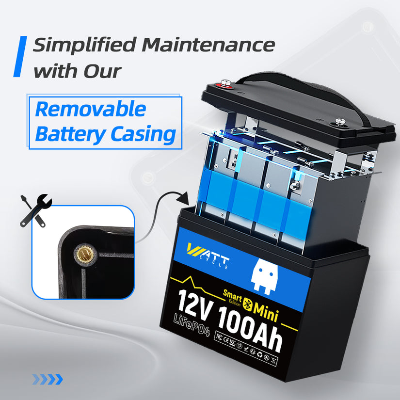 12V 100Ah Mini Bluetooth LiFePO4 Battery | 100A BMS | 1280Wh | Low-temp Protection
